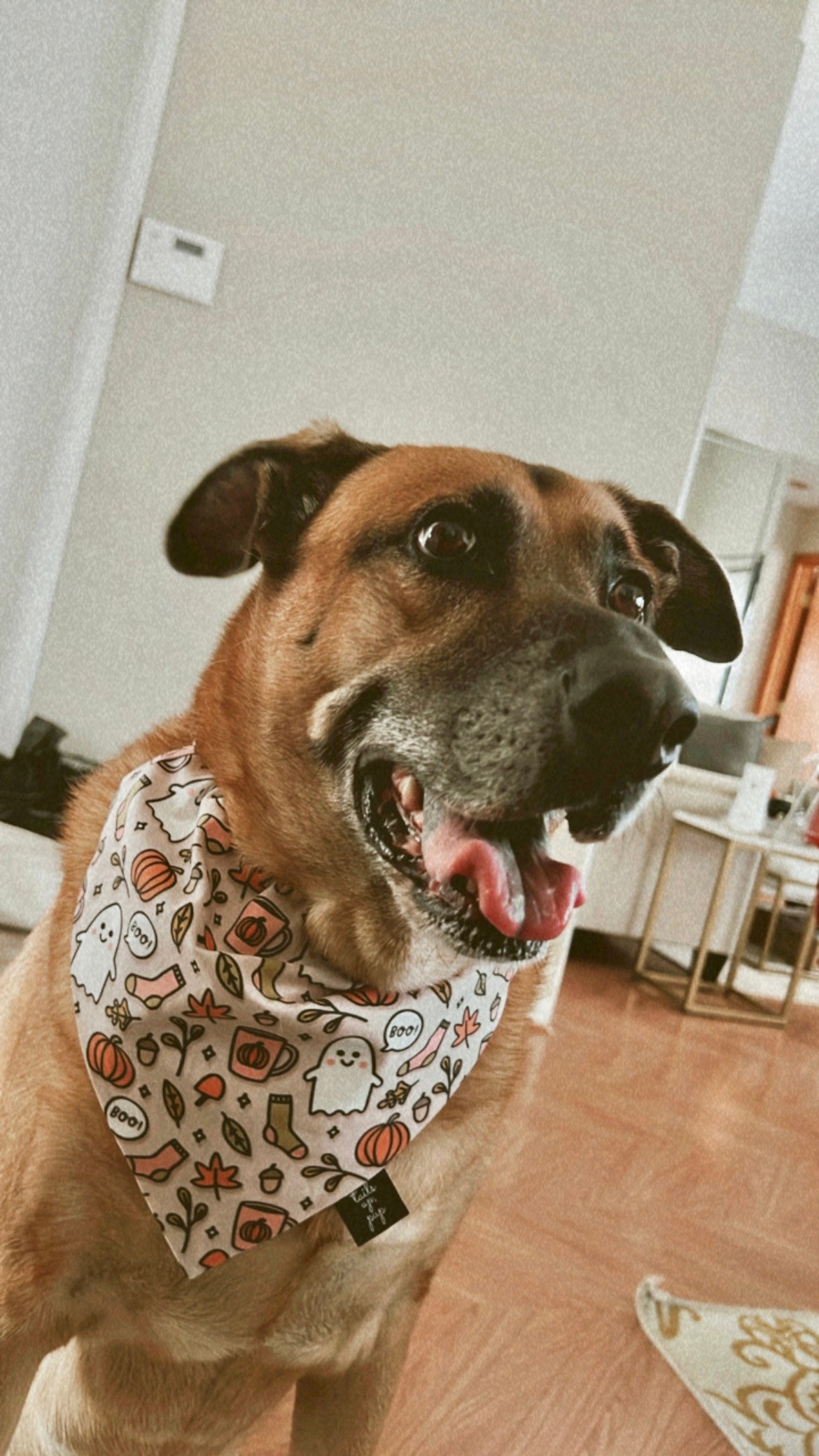 GHOST DOG BANDANA