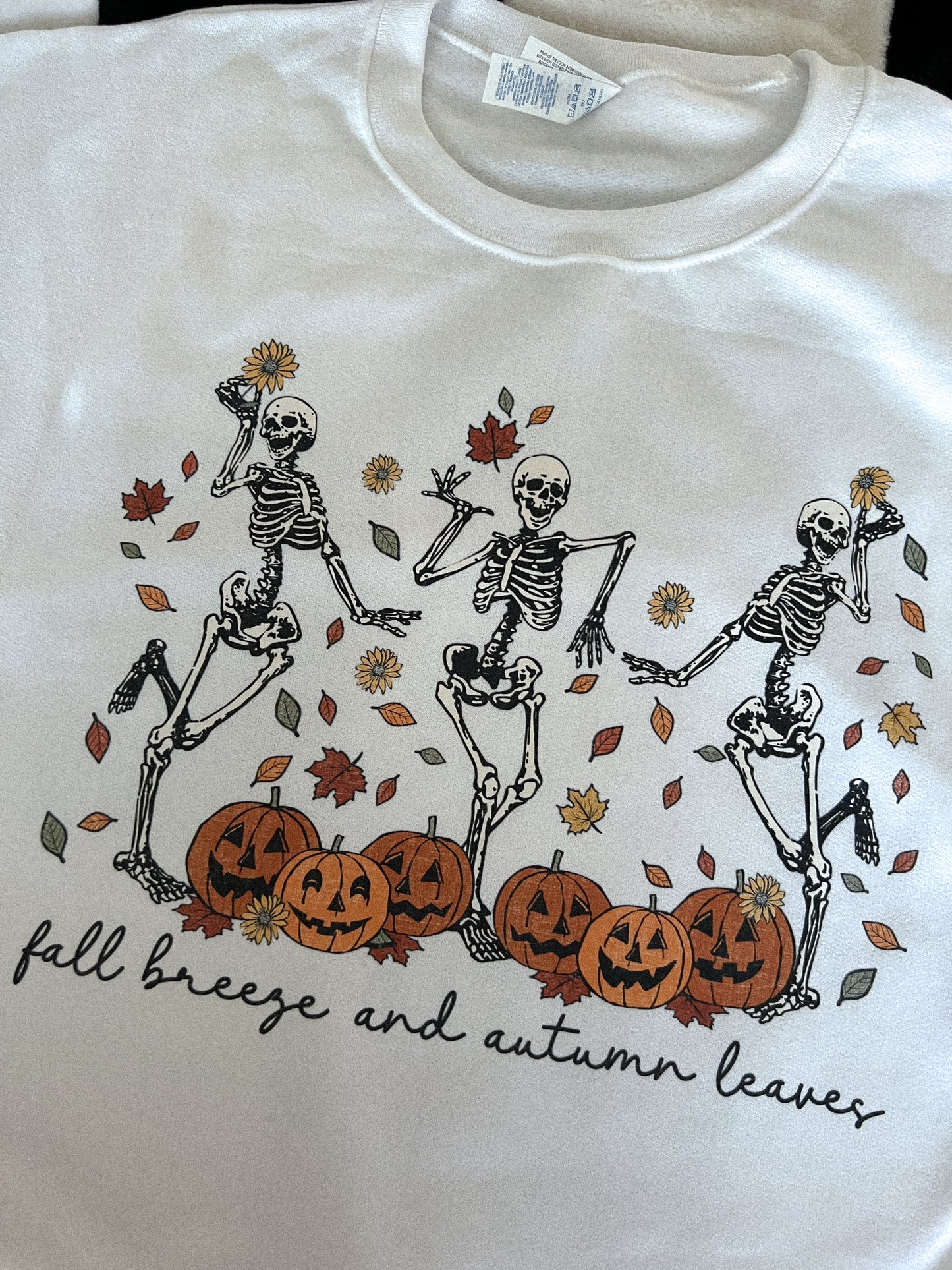 FALL BREEZE SKELLIES SWEATSHIRT